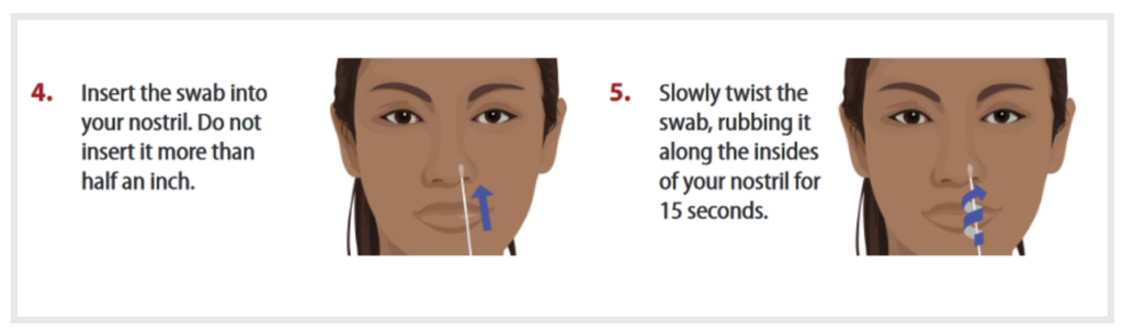 Two graphics illustrating steps in a COVID-19 at-home test. One shows a swab entering a person's nostril, which is semi-transparent so the depth of the swab is visible. The next shows the twisting motion of the swab inside the nostril.